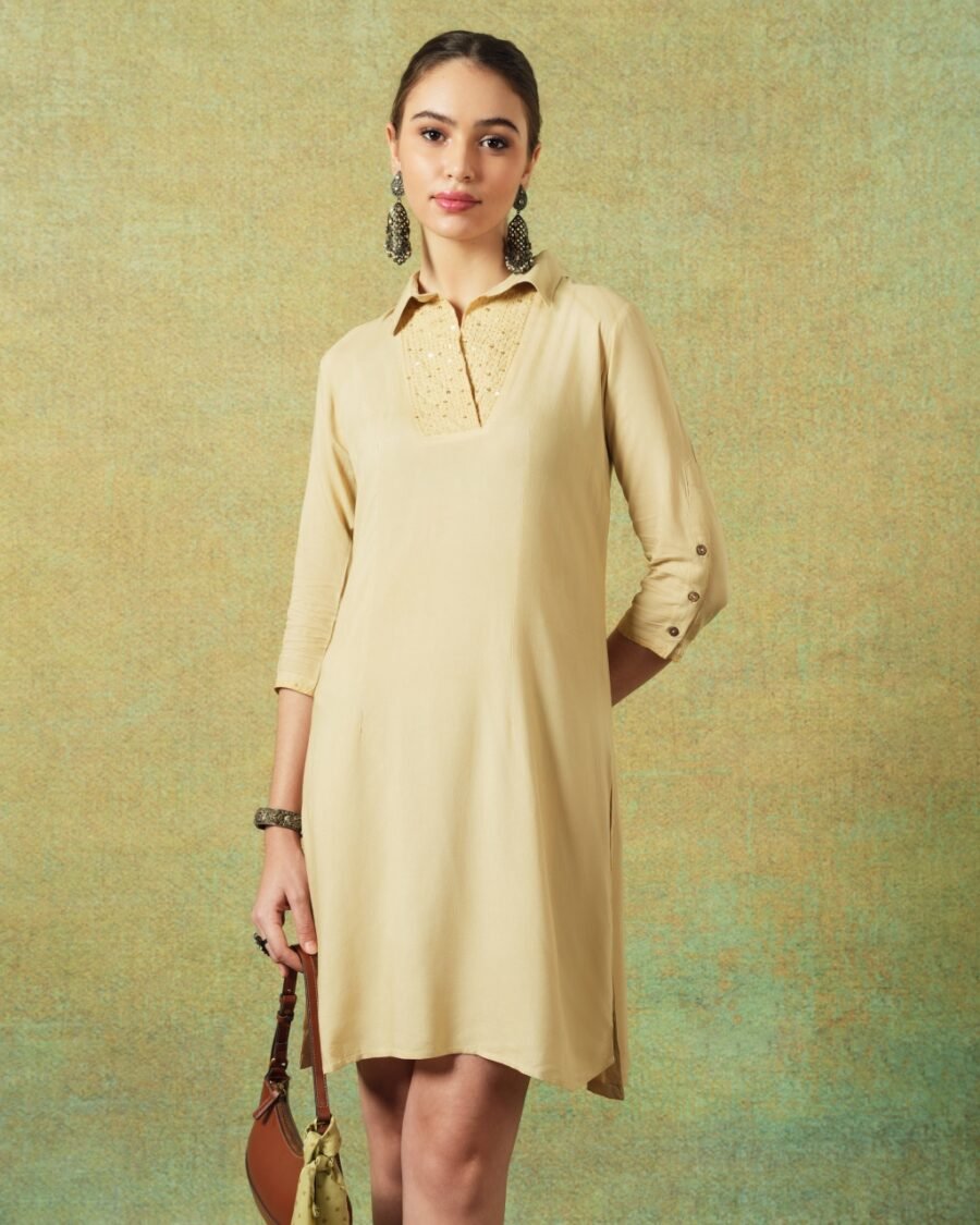 Collared Beige Dress with Details Straight Cut - Image 1