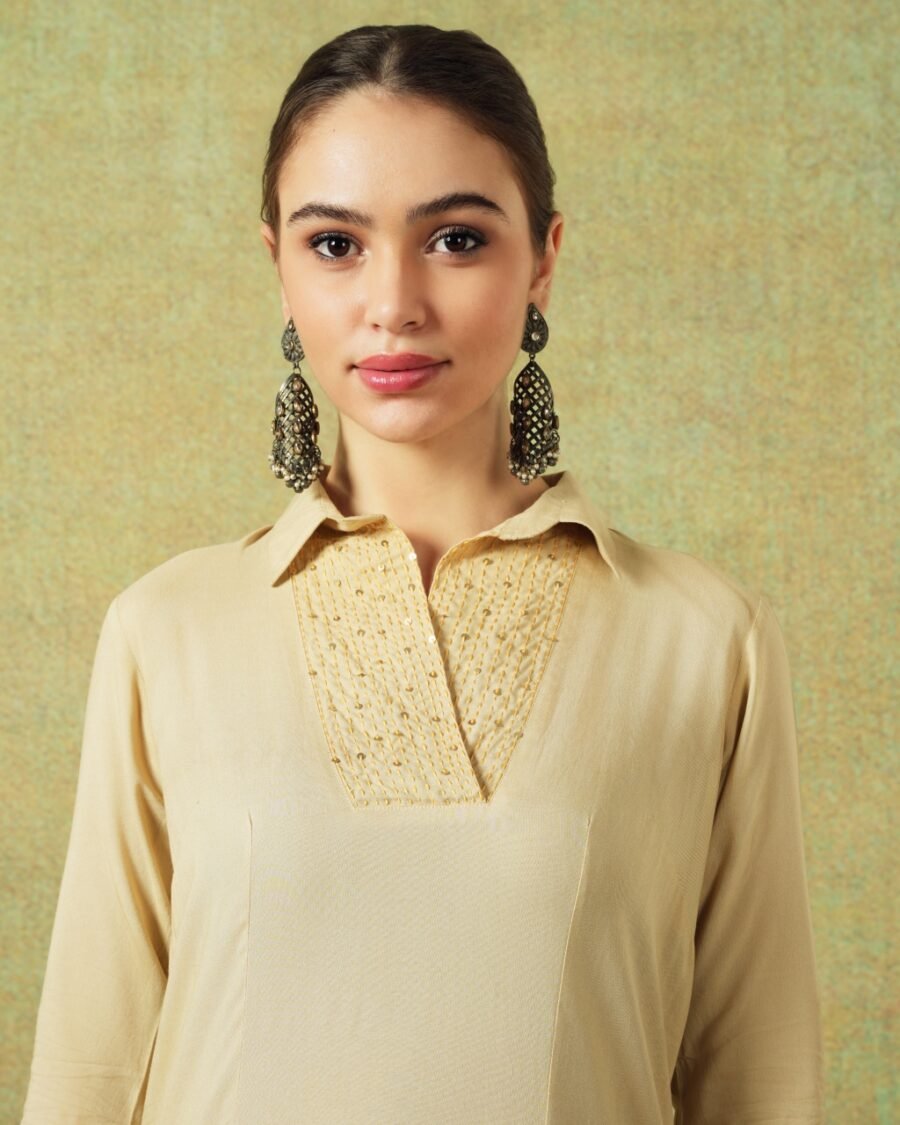 Collared Beige Dress with Details Straight Cut - Image 5