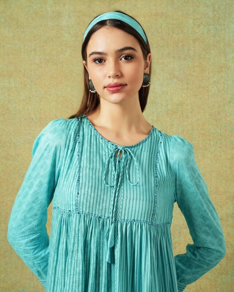 Empire Line Dress Blue Moth and Stripe Print