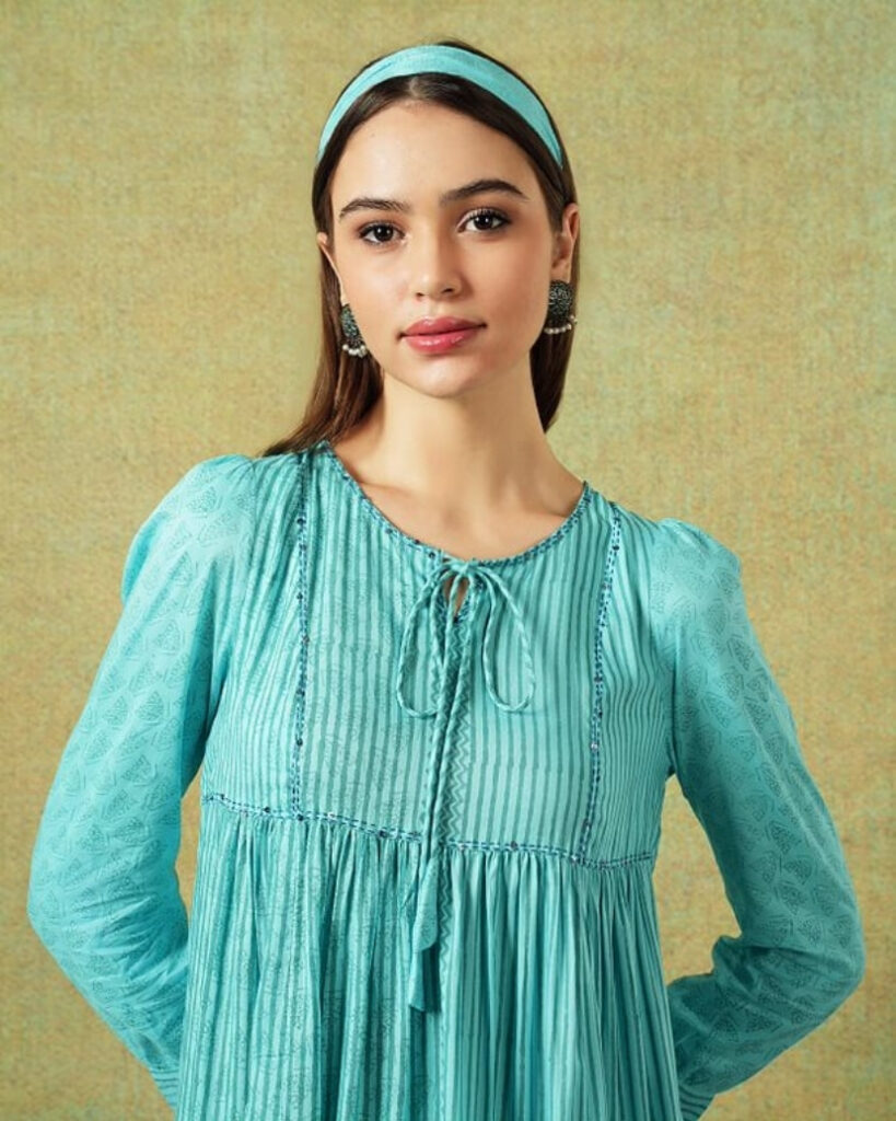 Empire Line Dress Blue Moth and Stripe Print